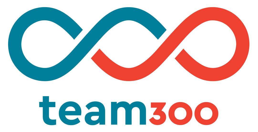 Team300 Logo Header